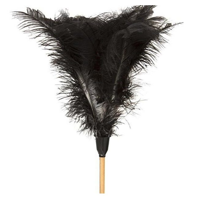 Feather Duster