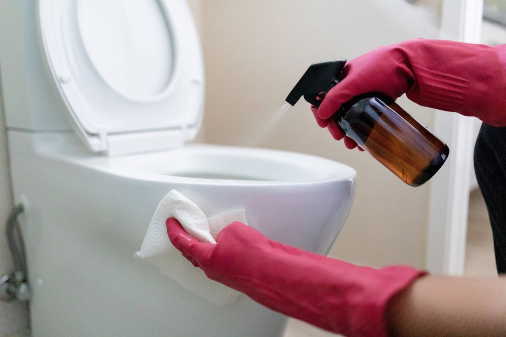 Toilet Bowl Cleaner